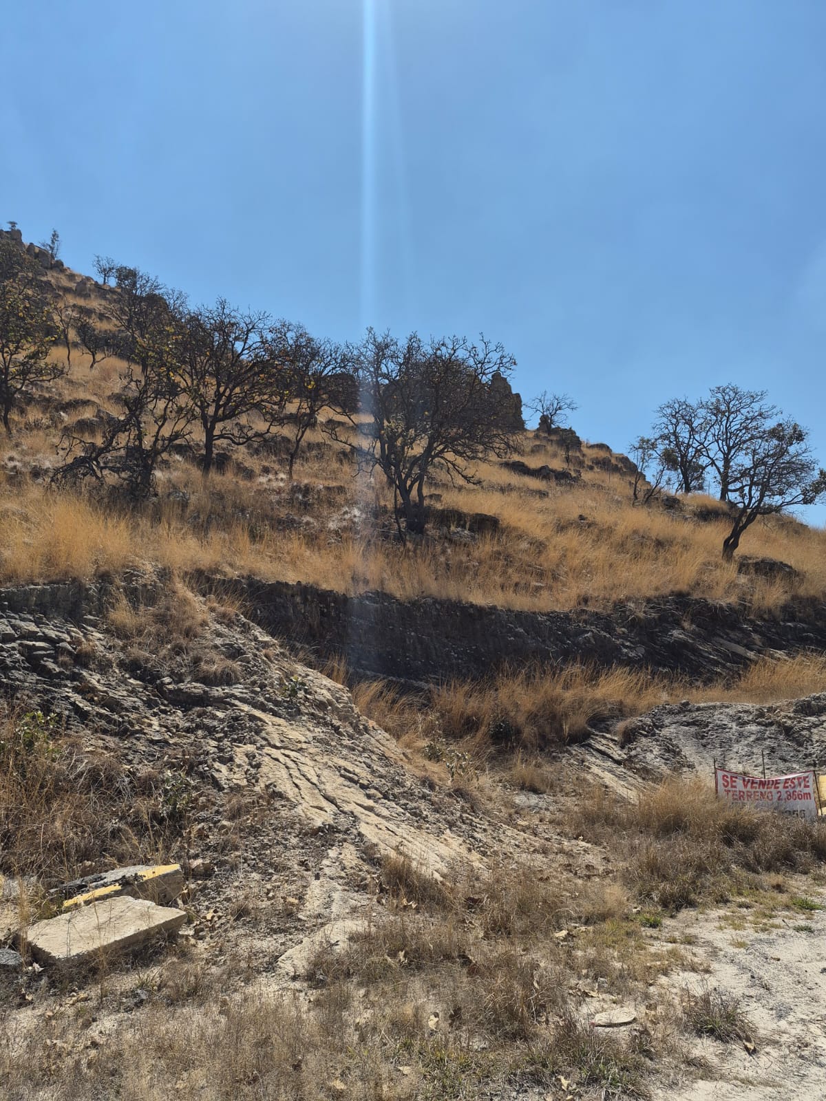 Terreno en Venta en Hacienda Cópala, Zapopan - foto 10 de 11