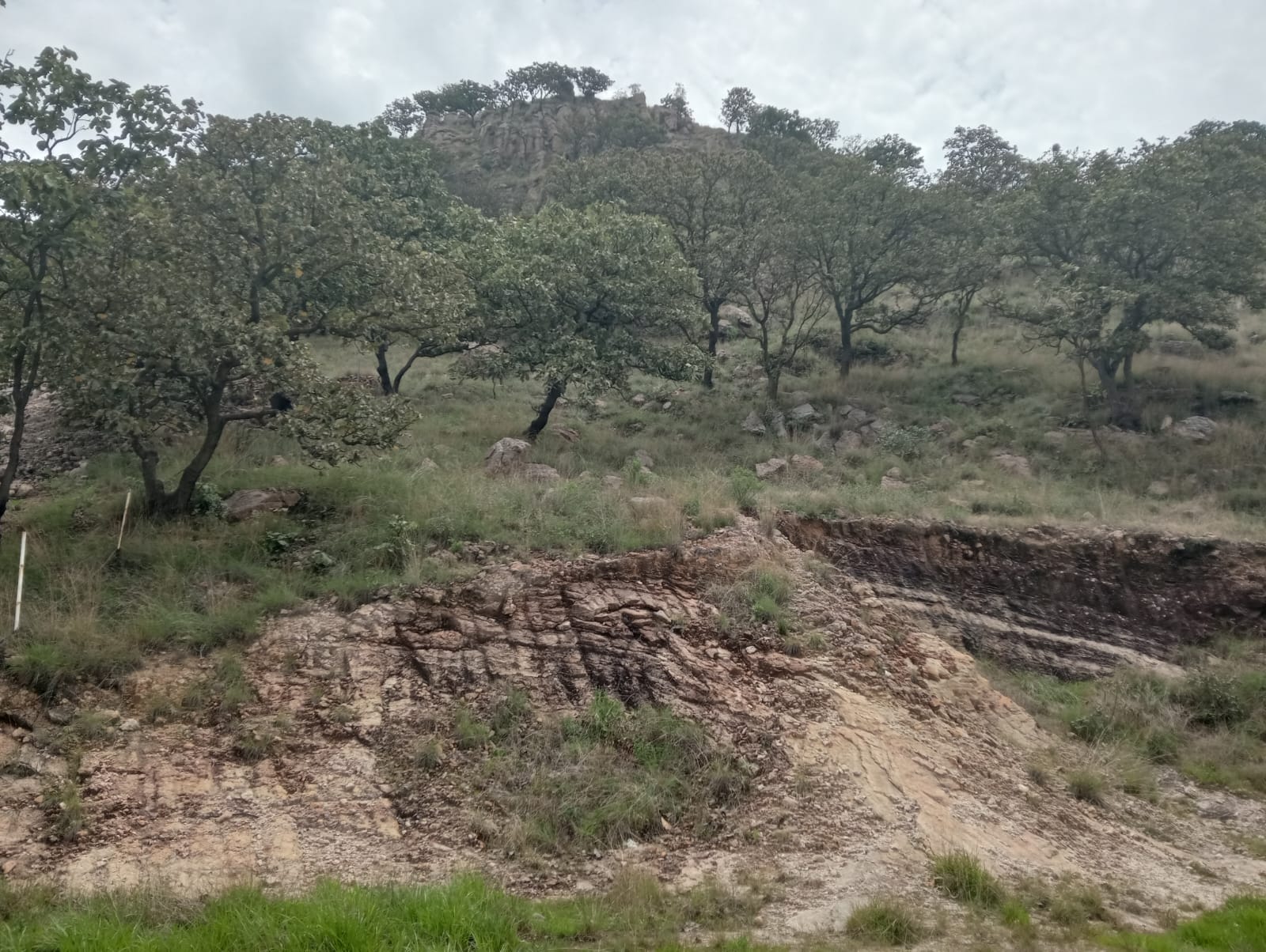 Terreno en Venta en Hacienda Cópala, Zapopan - foto 6 de 11