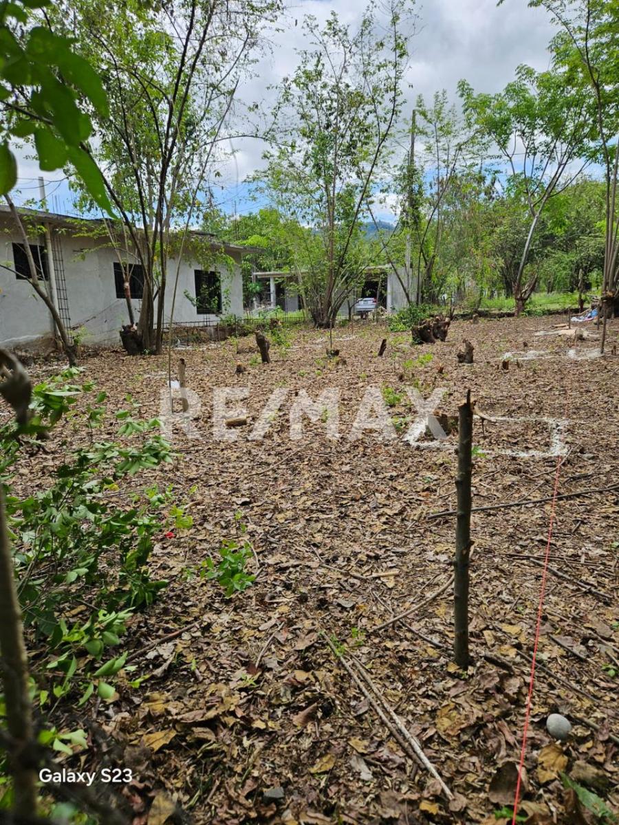 Terreno en Venta en Atlapexco Centro, Atlapexco - foto 4 de 7