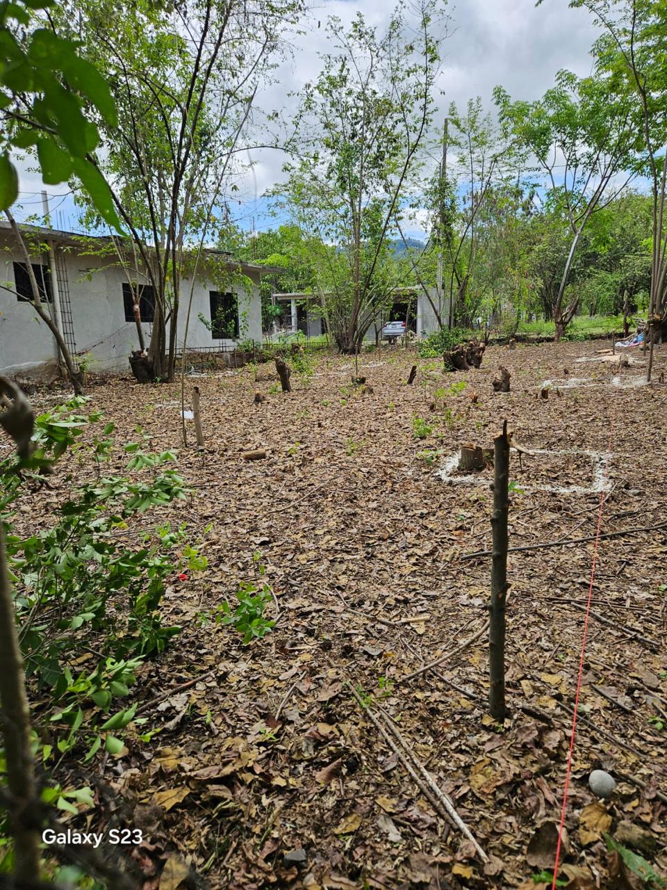 Terreno en Venta  en Atlapexco Centro, Atlapexco - foto 4 de 7