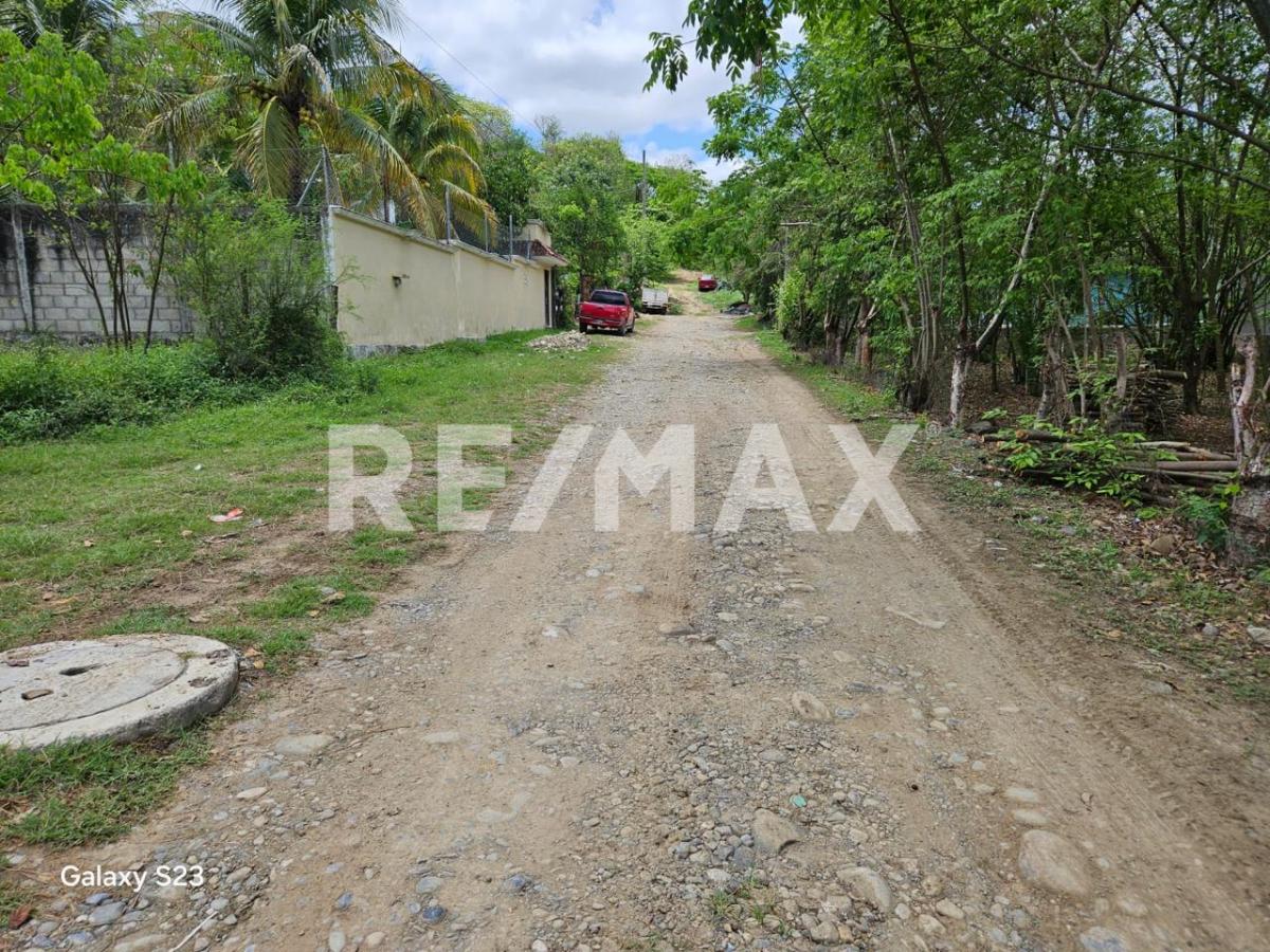 Terreno en Venta en Atlapexco Centro, Atlapexco - foto 2 de 7