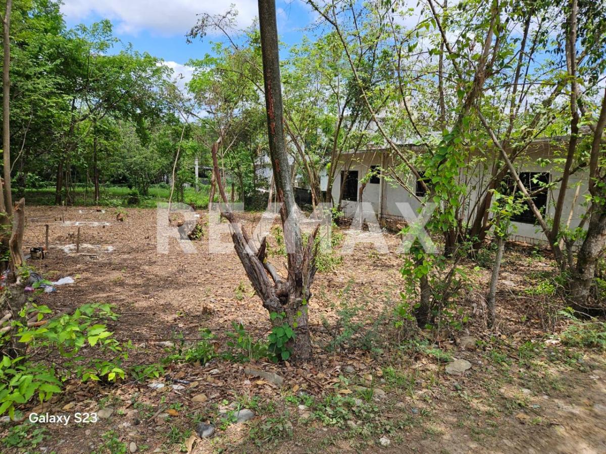 Terreno en Venta en Atlapexco Centro, Atlapexco - foto 3 de 7