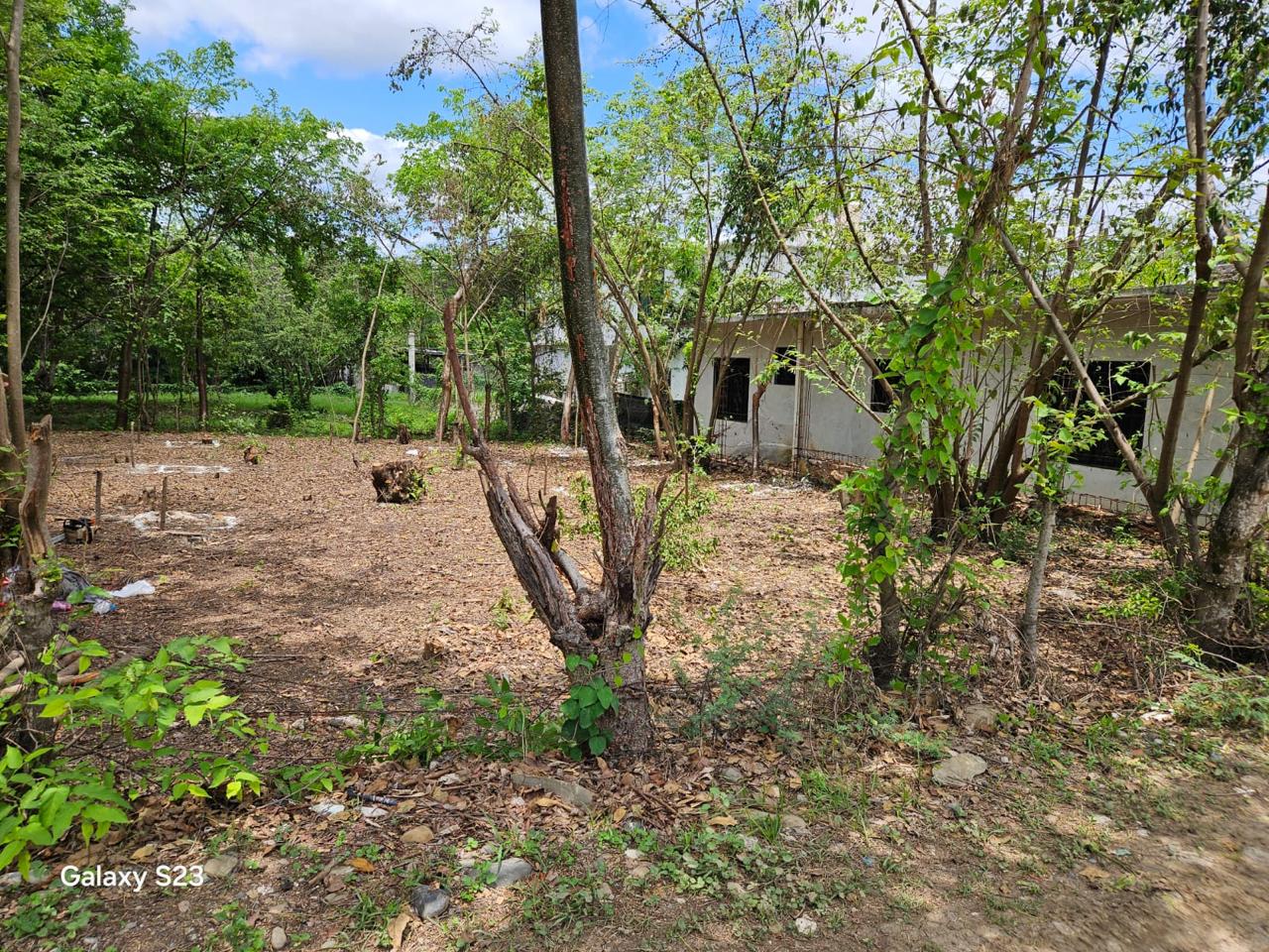 Terreno en Venta  en Atlapexco Centro, Atlapexco - foto 3 de 7