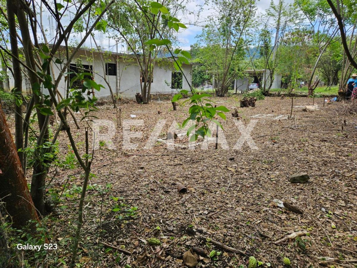 Terreno en Venta en Atlapexco Centro, Atlapexco - foto 6 de 7