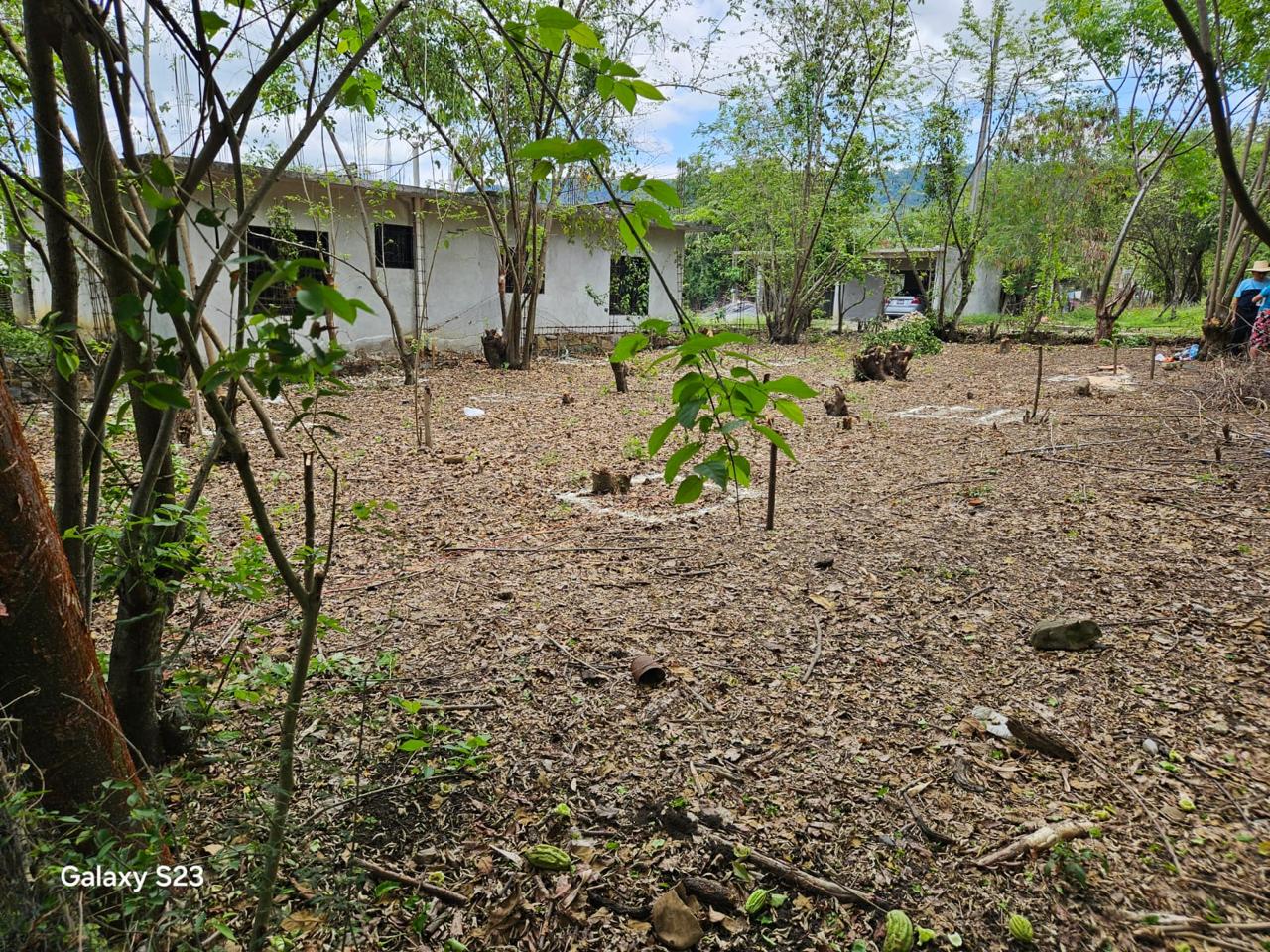 Terreno en Venta  en Atlapexco Centro, Atlapexco - foto 6 de 7
