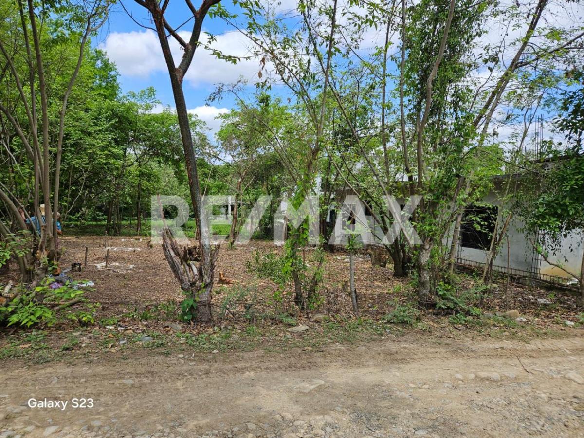 Terreno en Venta en Atlapexco Centro, Atlapexco - foto 5 de 7