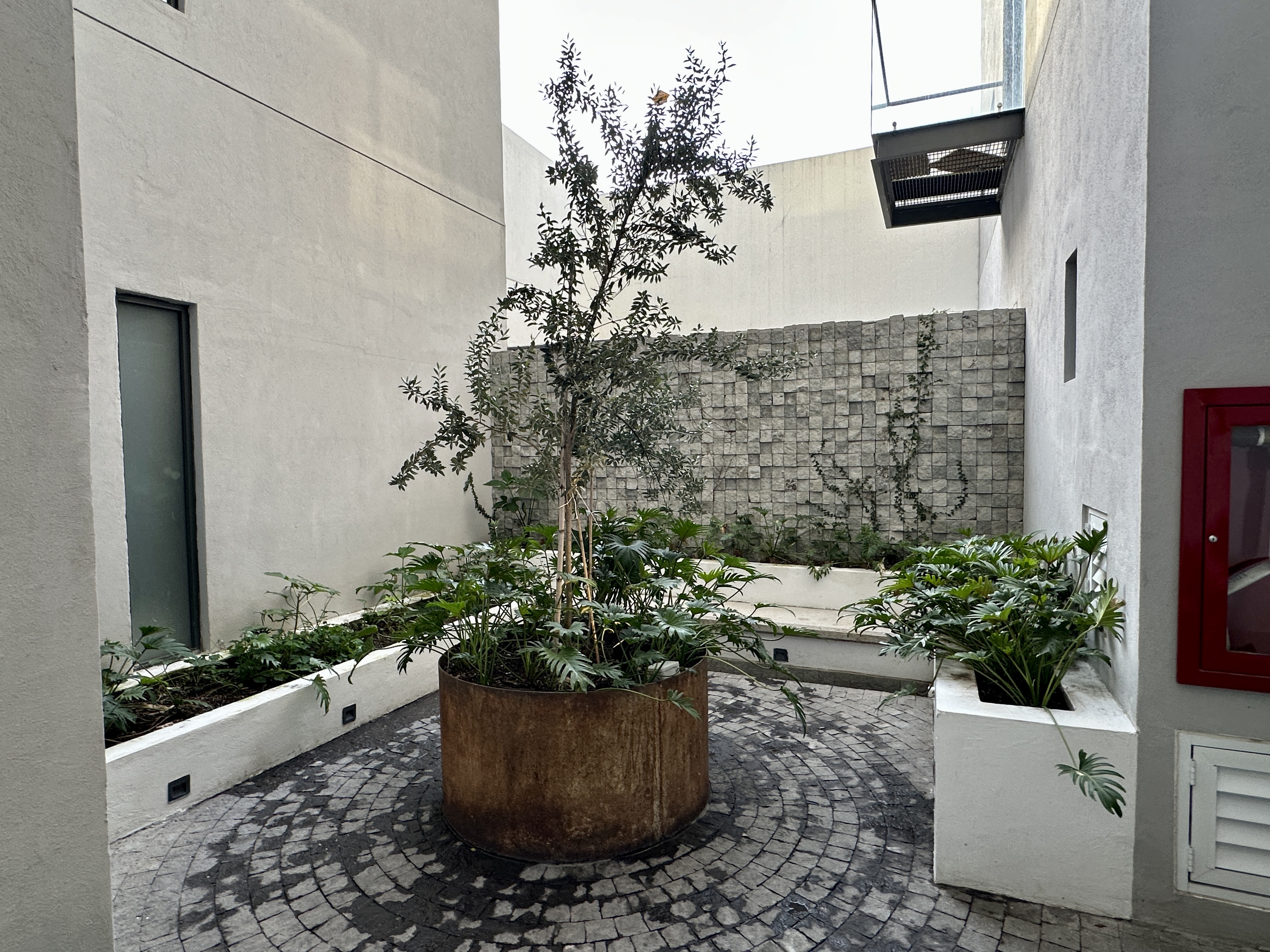 Departamento en venta en Colomos Providencia en COLOMOS PROVIDENCIA, Guadalajara - foto 4 de 24