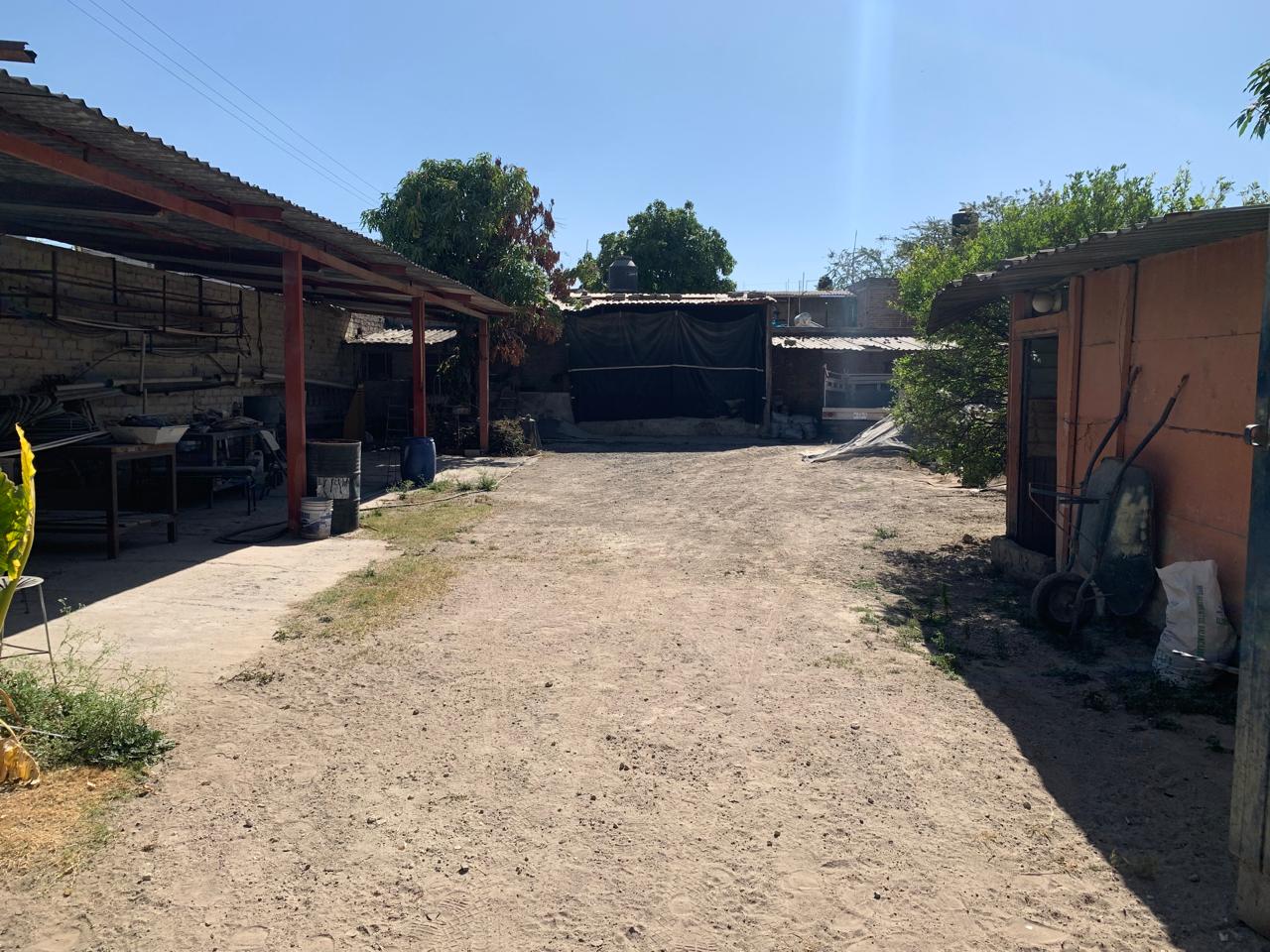 Terreno en Renta en SANTA ROSA DEL VALLE, El Salto - foto 5 de 5