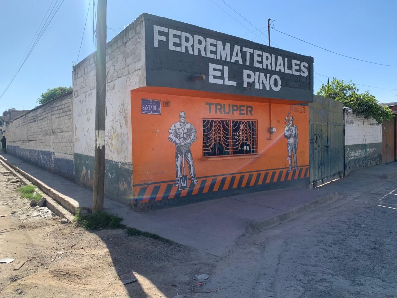 Terreno en Renta en SANTA ROSA DEL VALLE, El Salto - foto 2 de 5