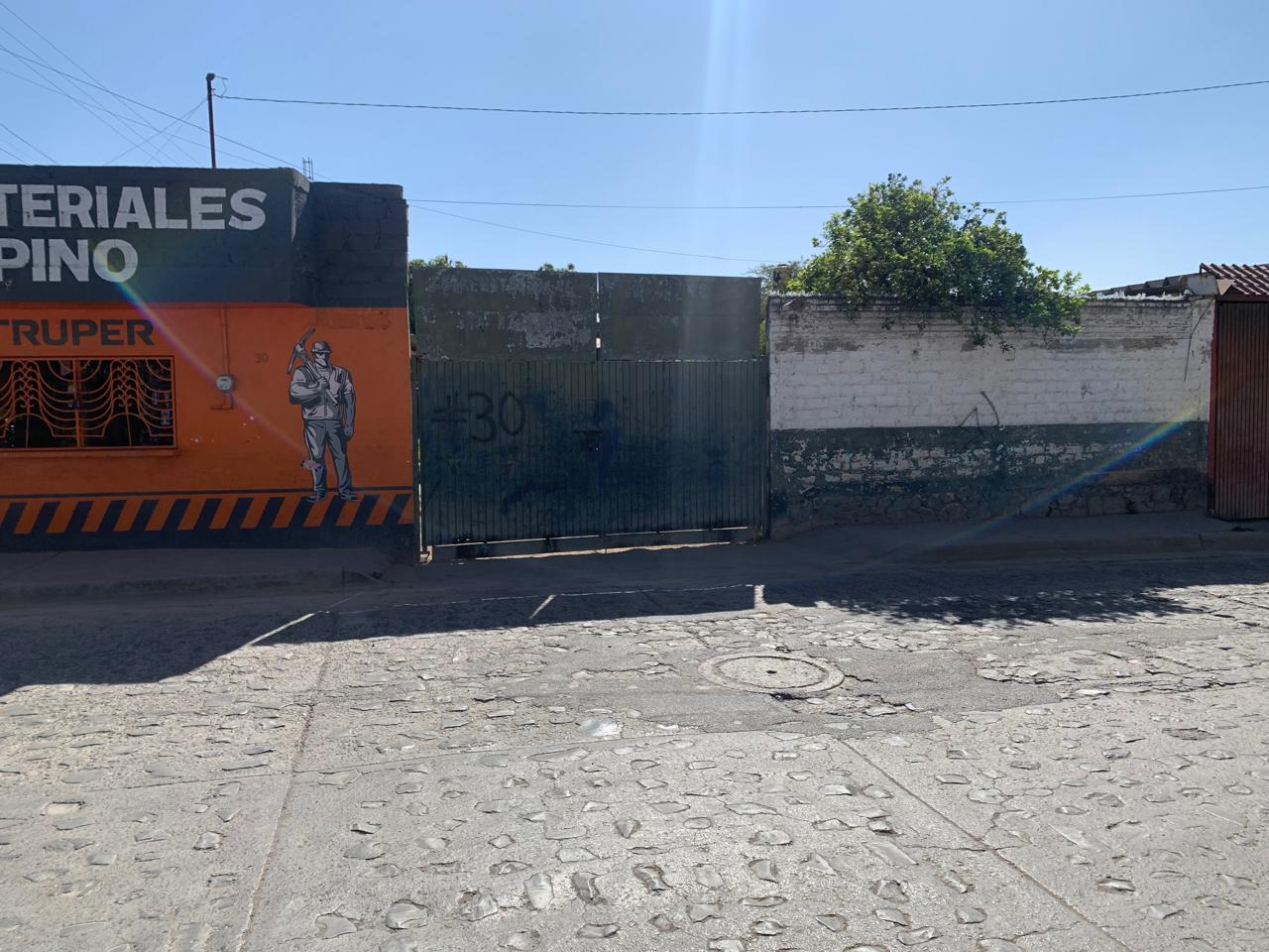 Terreno en Renta en SANTA ROSA DEL VALLE, El Salto - foto 3 de 5