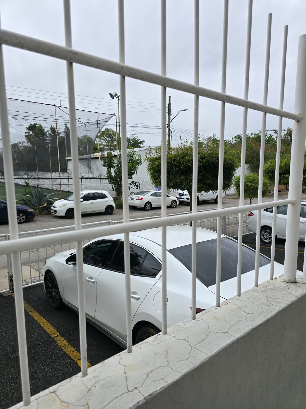 Departamento en Renta en Lomas del Paraíso 1a. Sección, Guadalajara - foto 7 de 17