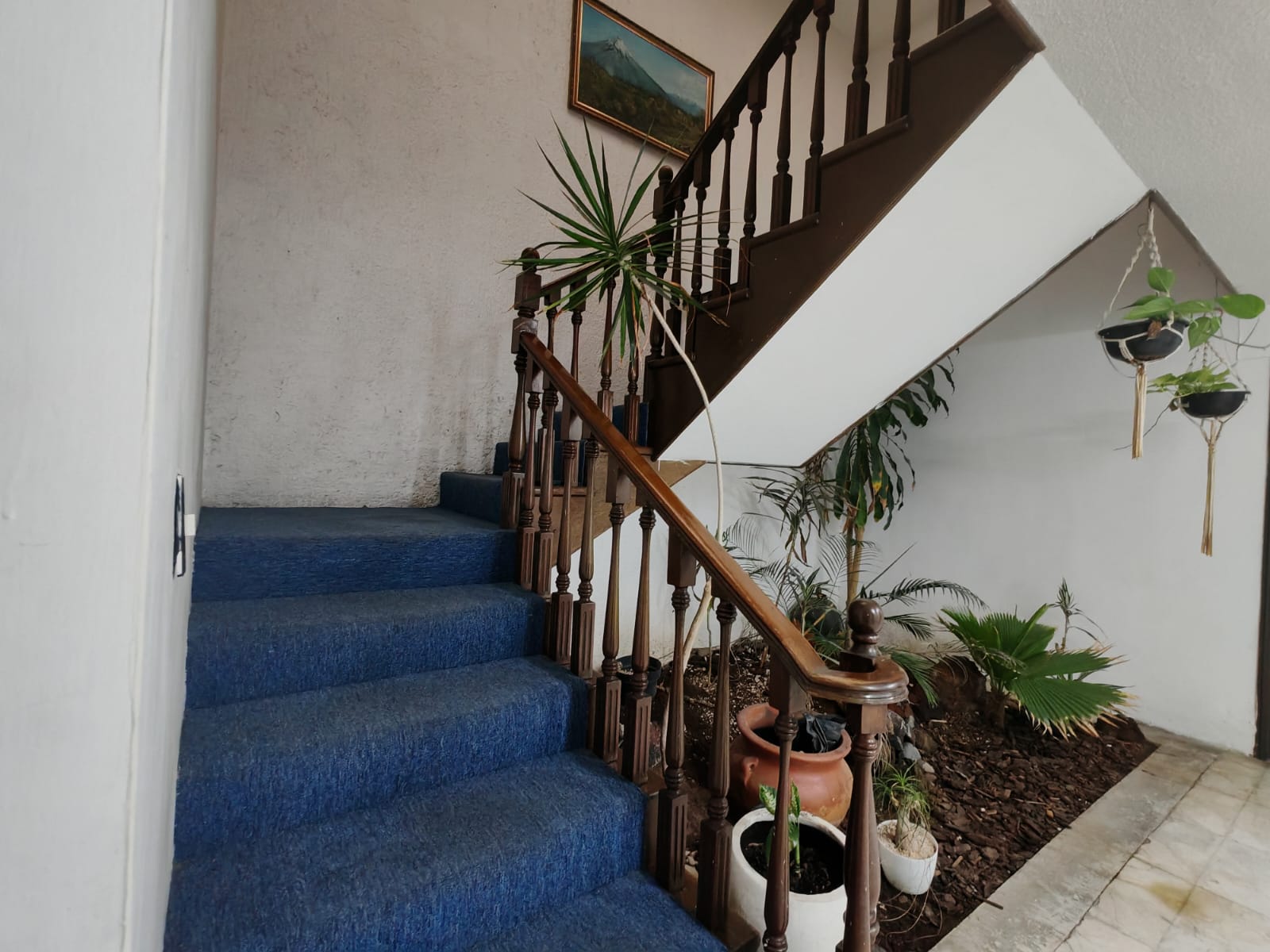 Casa en Venta en REAL VALLARTA, Zapopan - foto 28 de 42