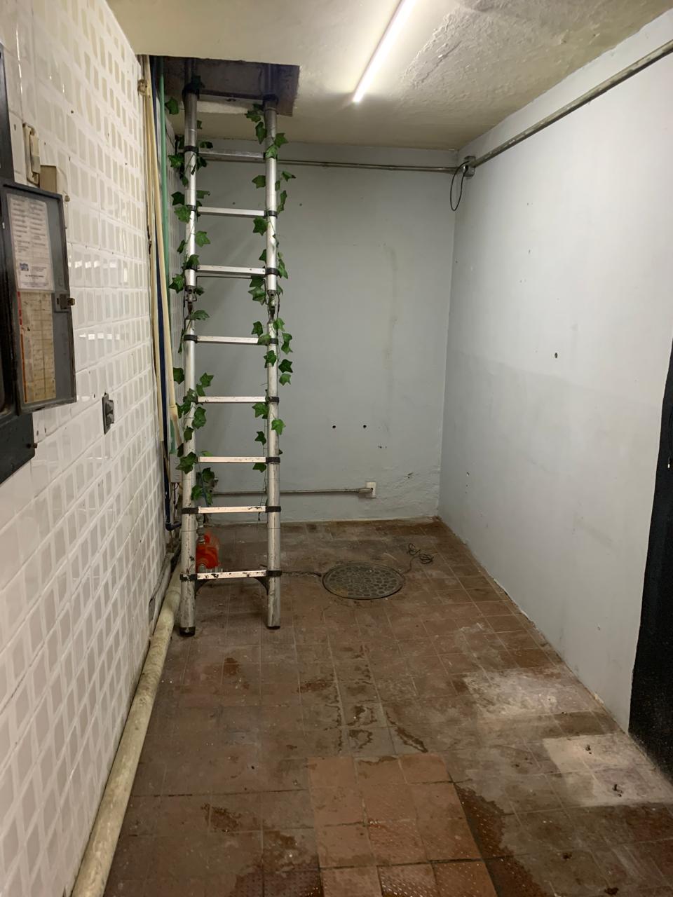Local Comercial en Renta en MONRAZ, Guadalajara - foto 14 de 23