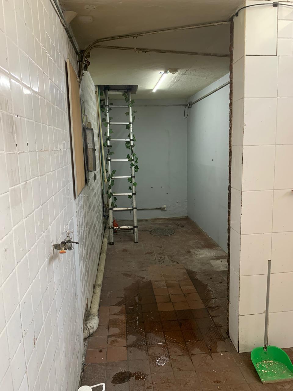 Local Comercial en Renta en MONRAZ, Guadalajara - foto 11 de 23