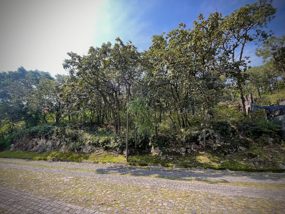 Terrono en VENTA en PINAR DE LA VENTA, Zapopan - foto 7 de 21