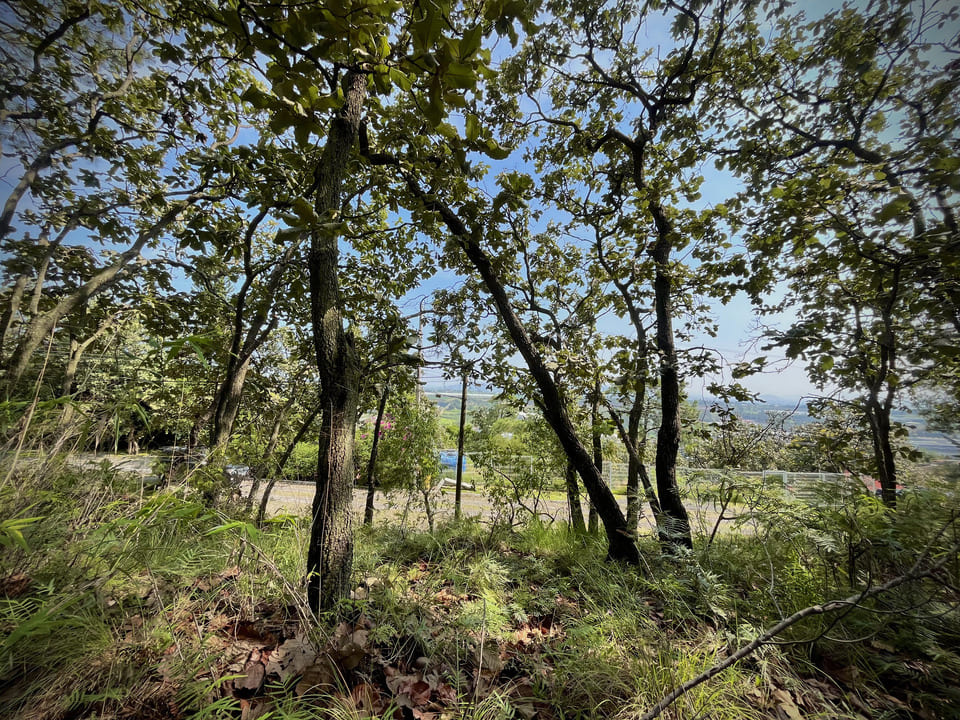 Terrono en VENTA en PINAR DE LA VENTA, Zapopan - foto 8 de 21