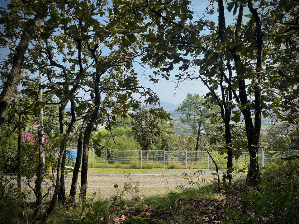 Terrono en VENTA en PINAR DE LA VENTA, Zapopan - foto 9 de 21
