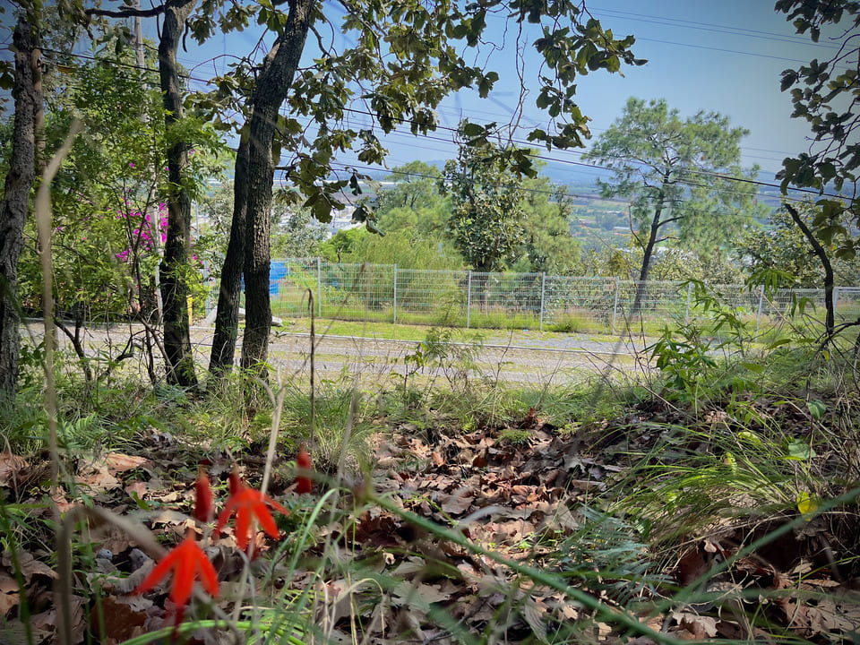 Terrono en VENTA en PINAR DE LA VENTA, Zapopan - foto 10 de 21