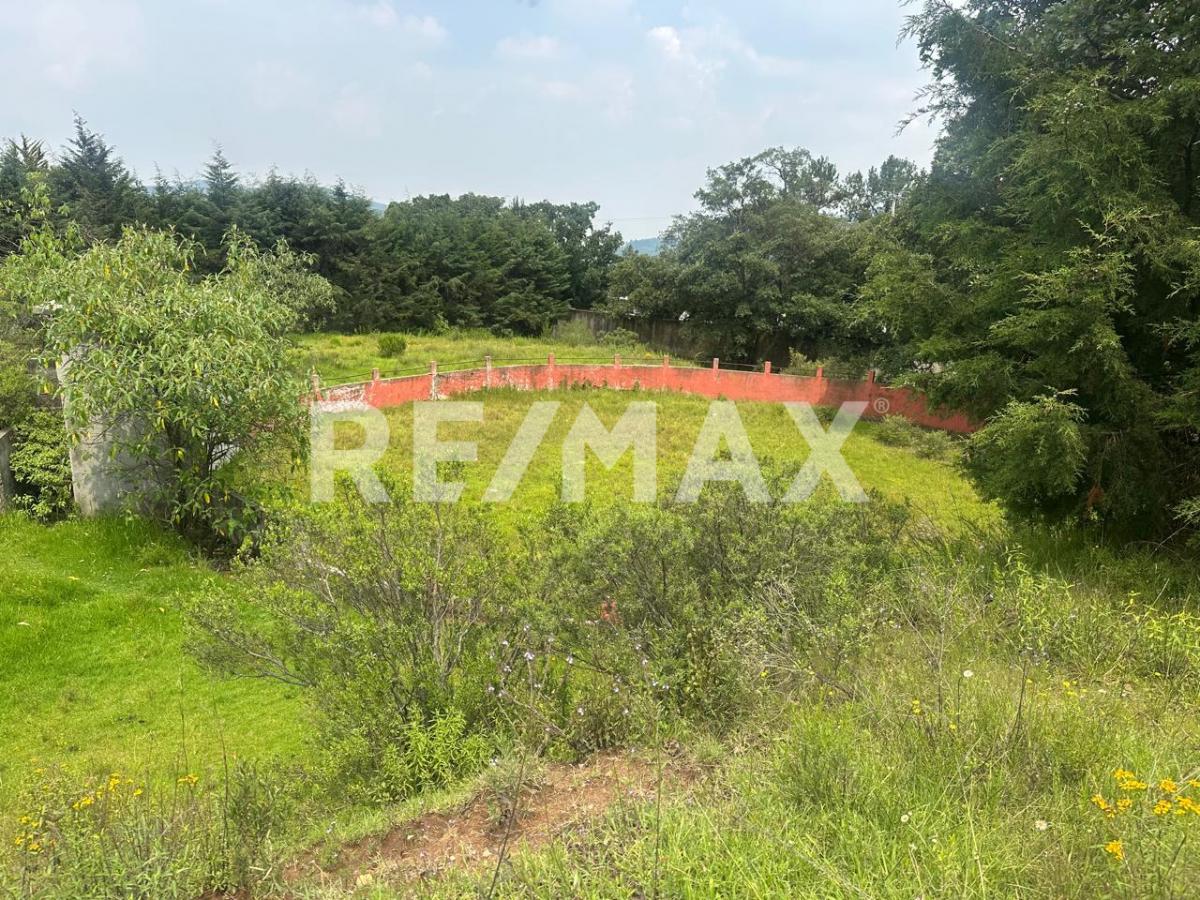 FOR SALE: BEAUTIFUL TAURINE RANCH IN ESPIRITU SANTO, JILOTZINGO