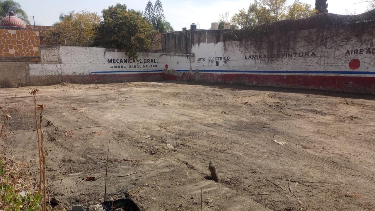 Terreno Comercial en LAS PINTAS, El Salto - foto 9 de 11