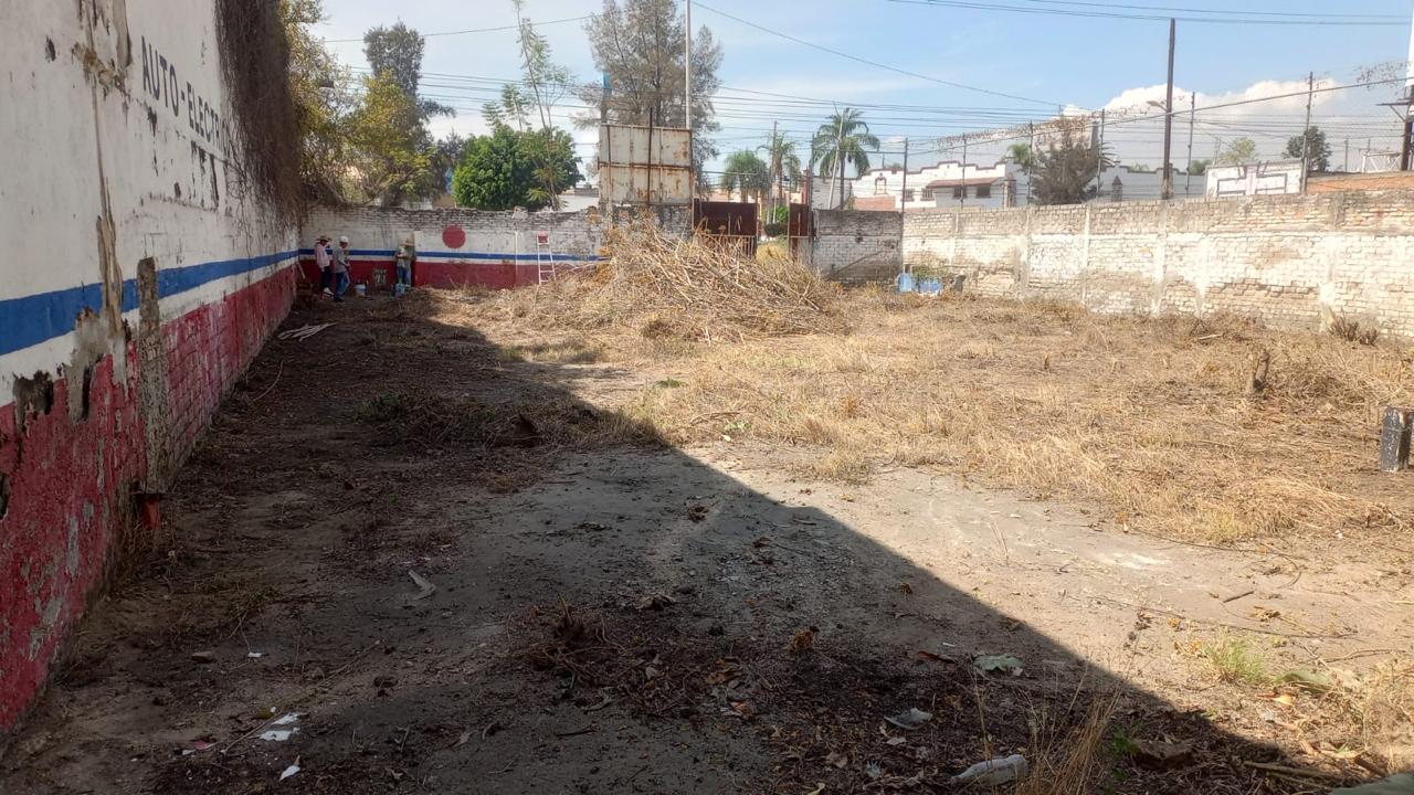 Terreno Comercial en LAS PINTAS, El Salto - foto 7 de 11