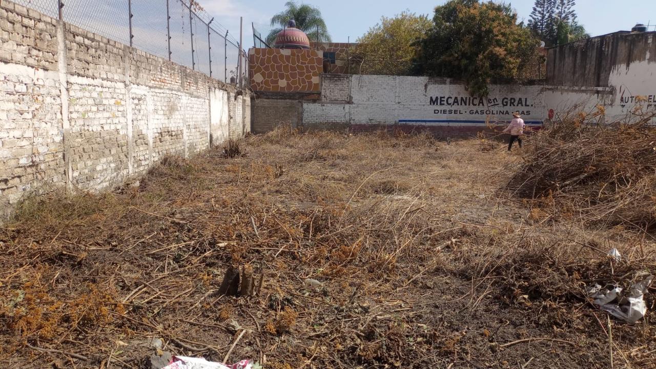 Terreno Comercial en LAS PINTAS, El Salto - foto 8 de 11