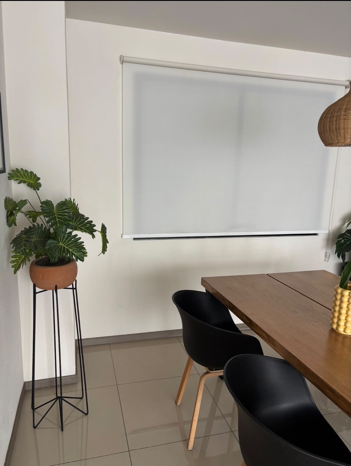 Departamento en Renta  en Fidel Velázquez, Guadalajara - foto 18 de 24