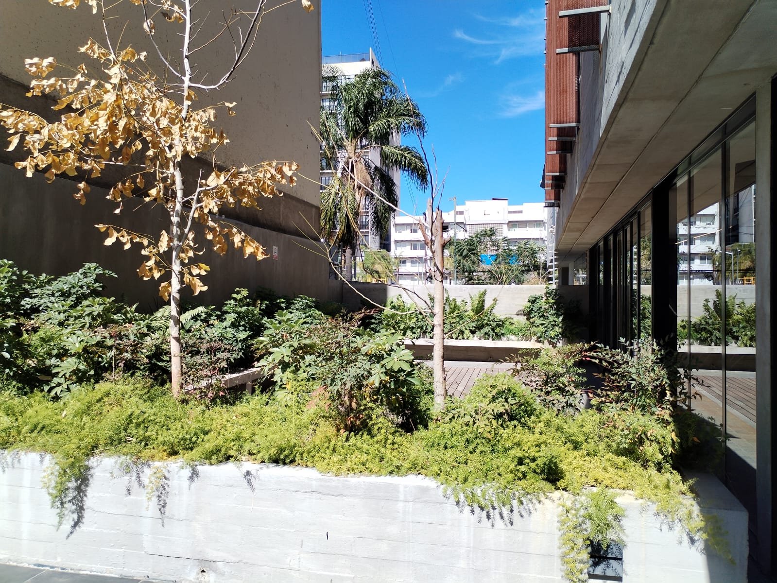 DEPARTAMENTO EN RENTA LUMINA en Fraccionamiento Ladrón de Guevara, Guadalajara - foto 37 de 40