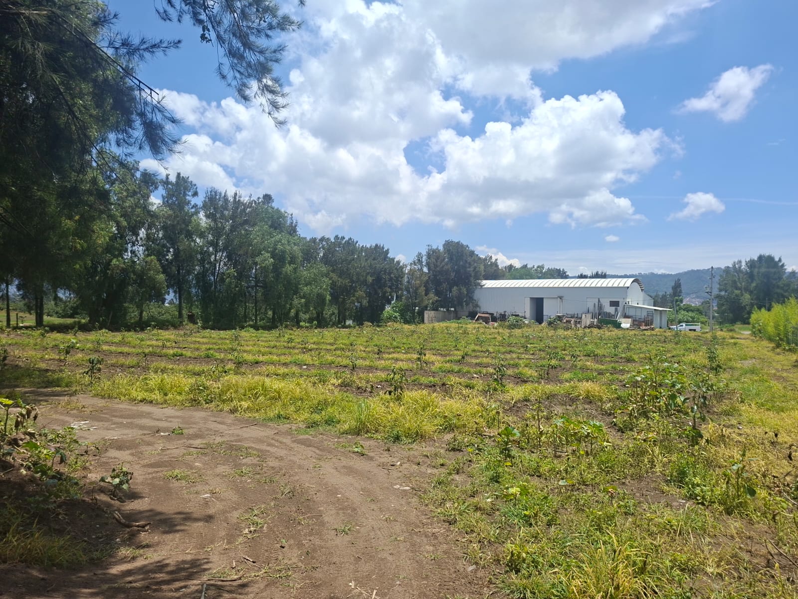 Terreno en Venta 