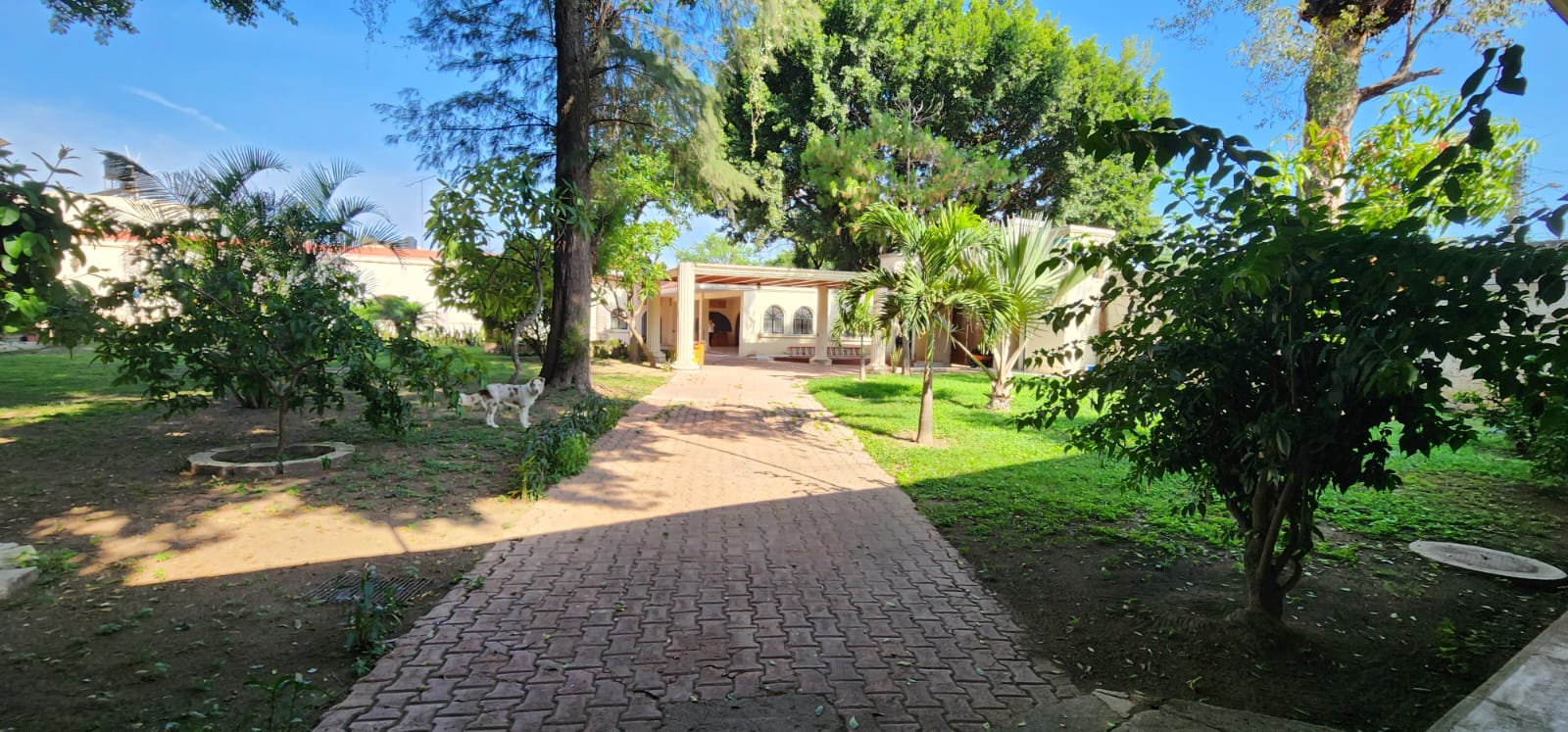 Casa comercial en renta, a dos cuadras del zoologico Guadalajara, ideal para salon de eventos u hotel.  en Panorámica Huentitán, Guadalajara - foto 27 de 29
