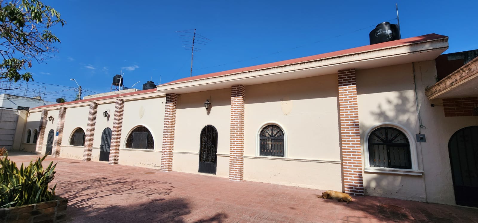 Casa comercial en renta, a dos cuadras del zoologico Guadalajara, ideal para salon de eventos u hotel.  en Panorámica Huentitán, Guadalajara - foto 8 de 29