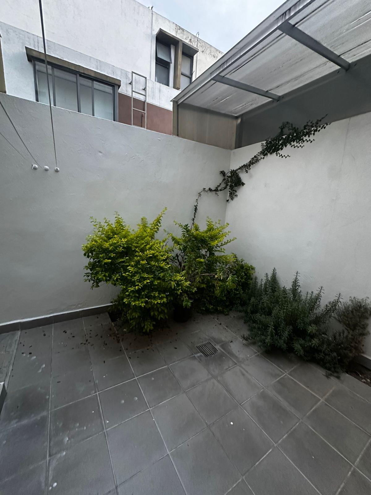 Casa en renta en Zoi Residencial en Bosques Del Centinela II, Zapopan - foto 5 de 20