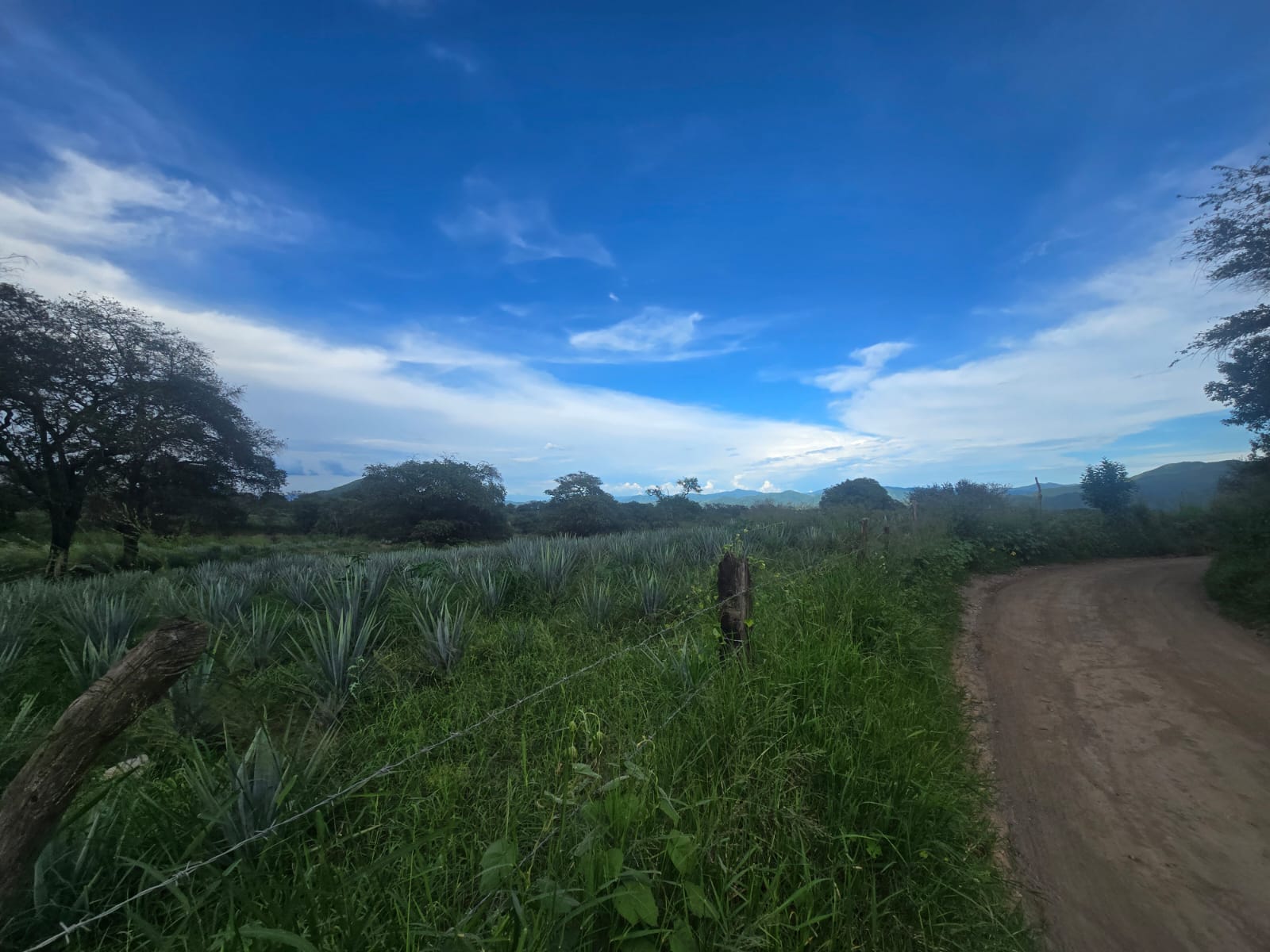Terreno en Venta en Ciuhapilli, Tuxpan - foto 5 de 9