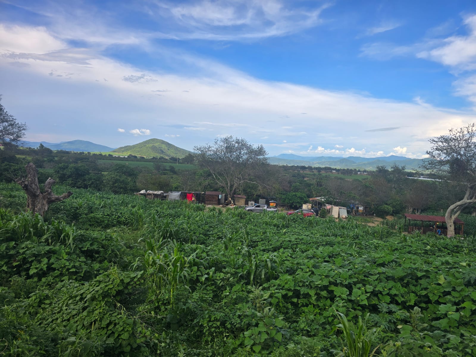 Terreno en Venta en Ciuhapilli, Tuxpan - foto 6 de 9