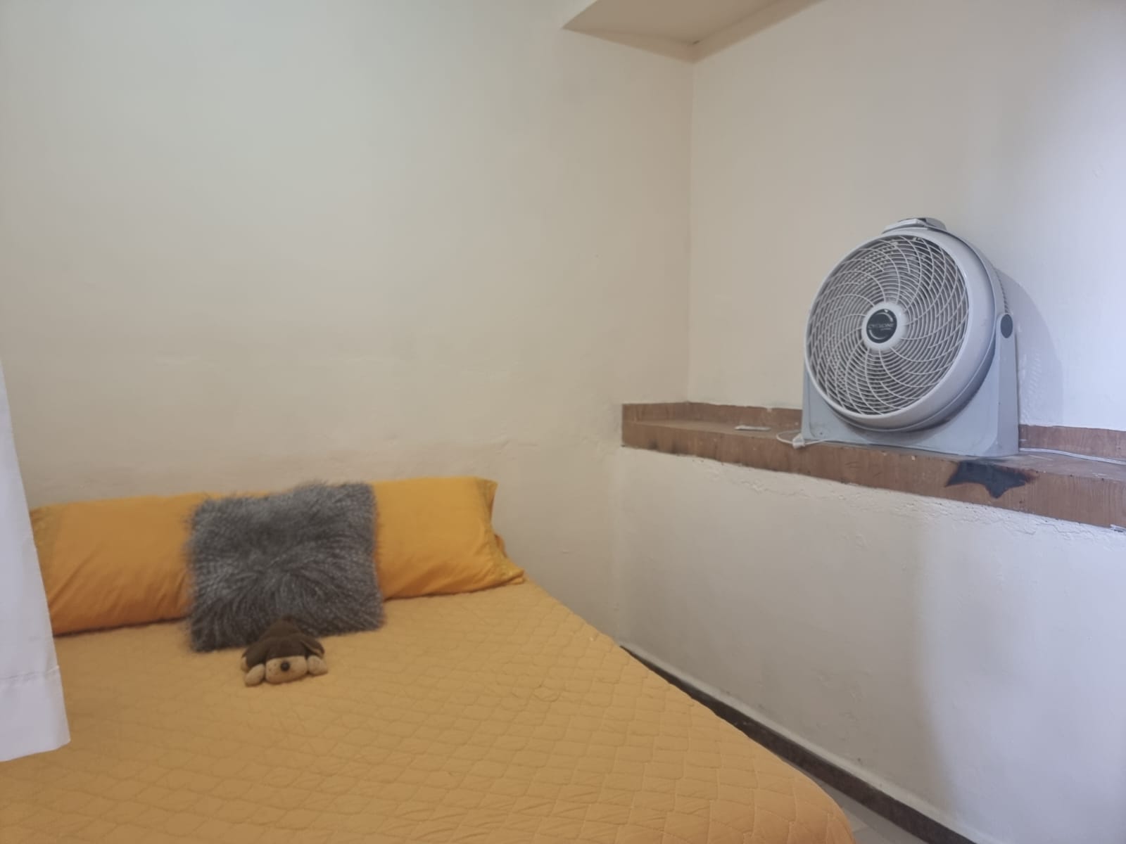 Casa en Venta en BUENOS AIRES, San Pedro Tlaquepaque - foto 30 de 32
