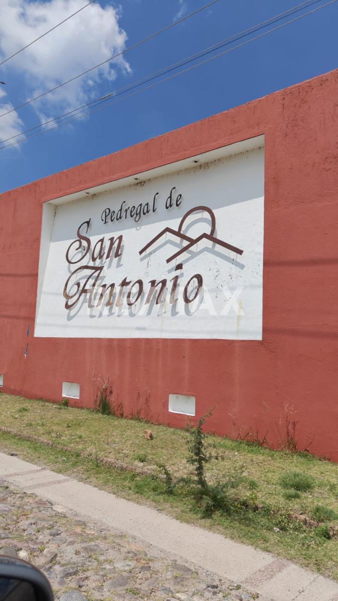 PEDREGAL DE SAN ANTONIO