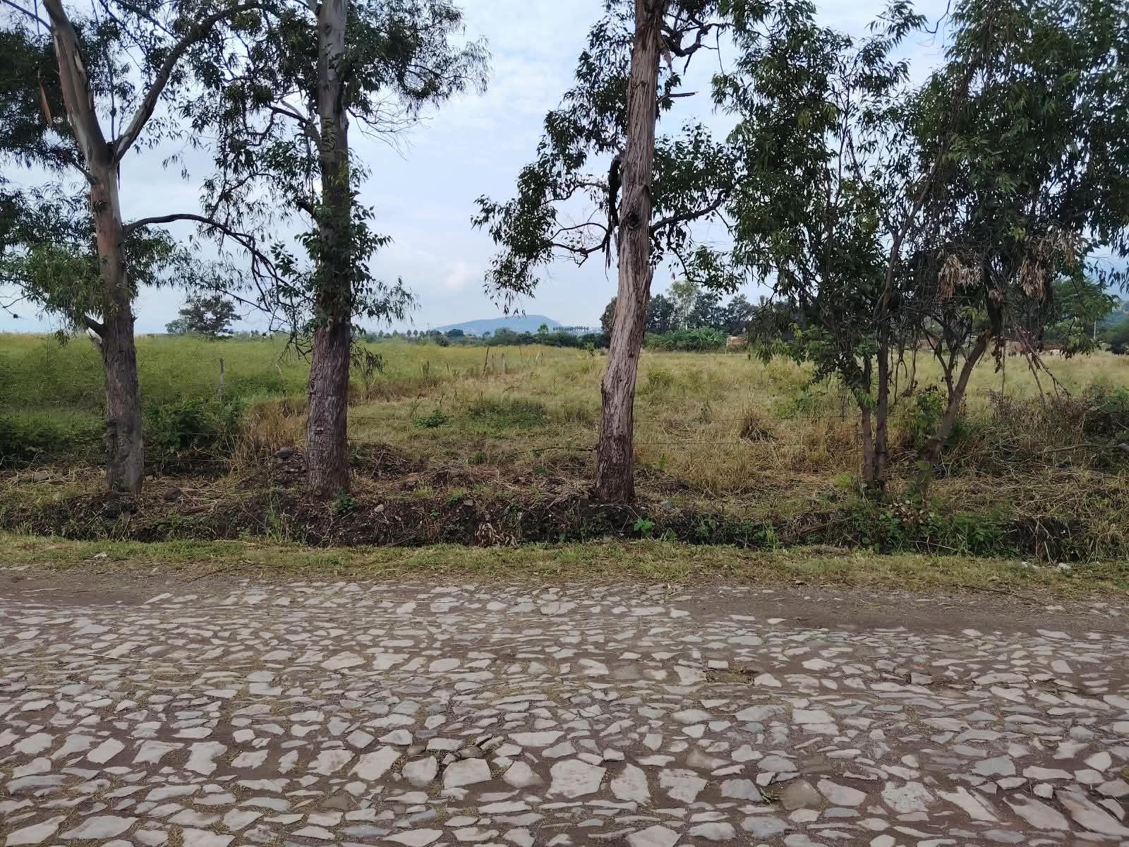 Terreno en Venta en SANTA CRUZ DE LA SOLEDAD, Chapala - foto 9 de 19