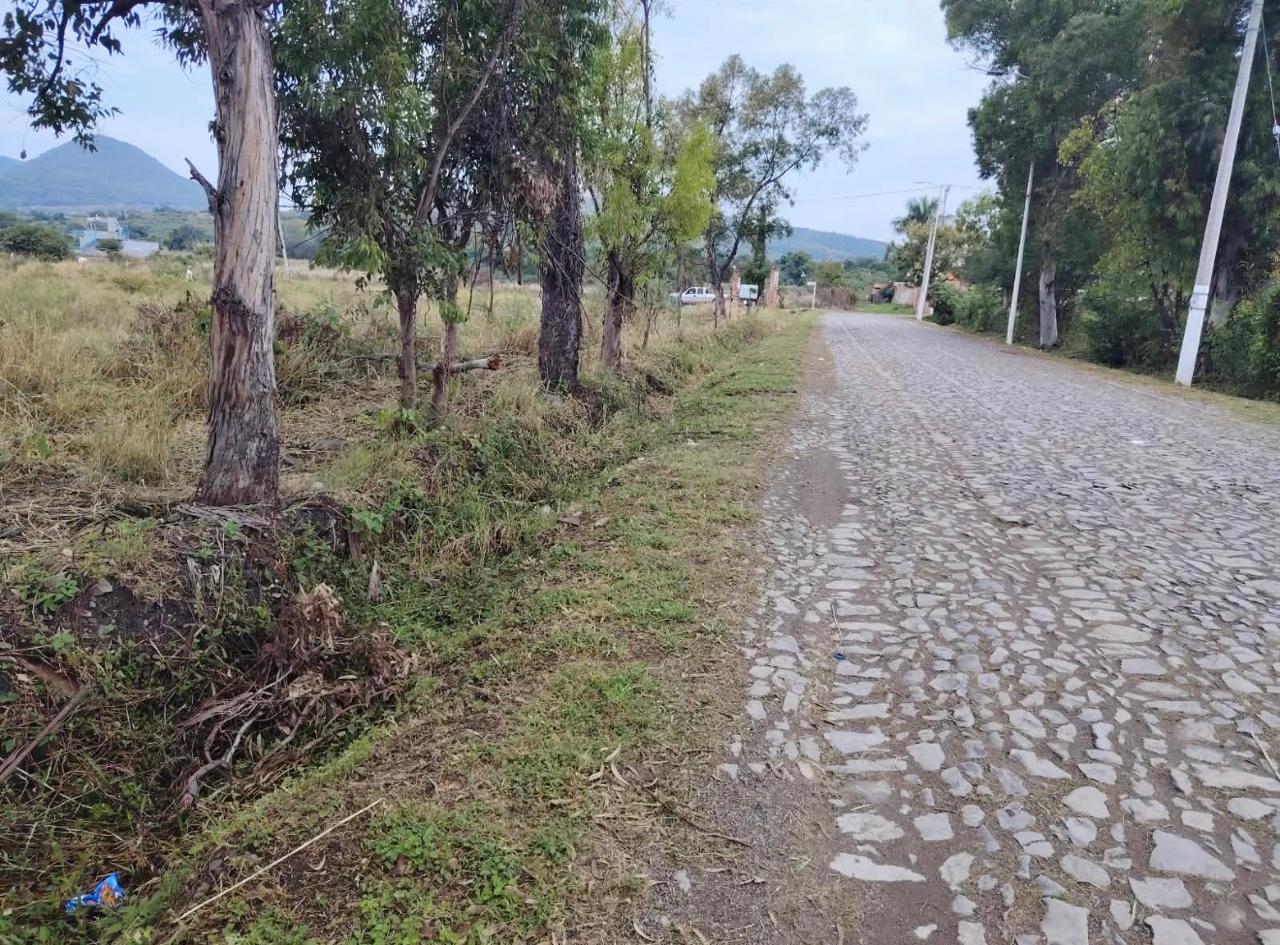Terreno en Venta en SANTA CRUZ DE LA SOLEDAD, Chapala - foto 19 de 19