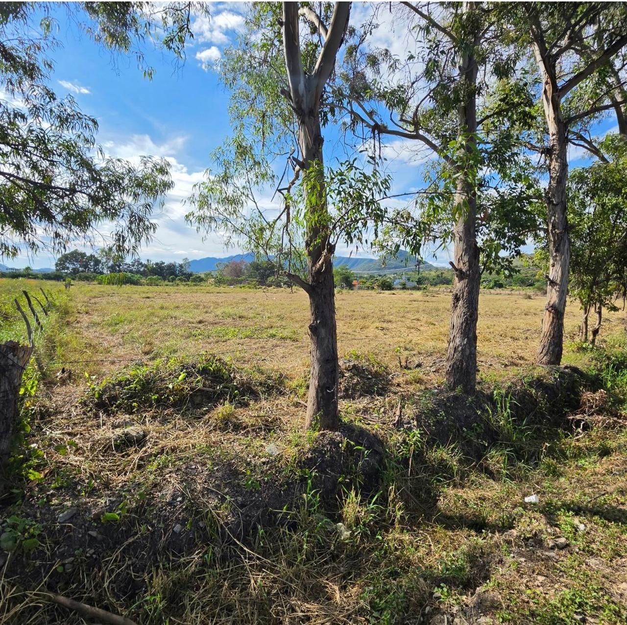 Terreno en Venta en SANTA CRUZ DE LA SOLEDAD, Chapala - foto 13 de 19