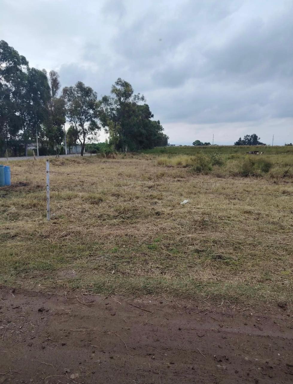 Terreno en Venta en SANTA CRUZ DE LA SOLEDAD, Chapala - foto 15 de 19
