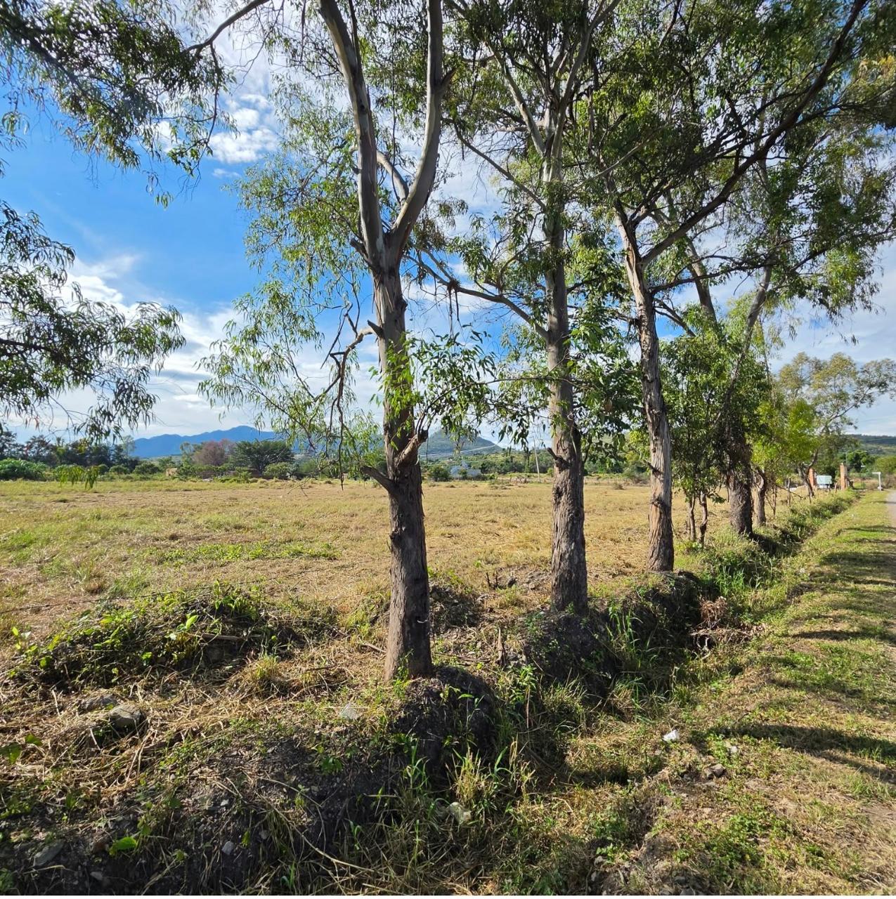 Terreno en Venta en SANTA CRUZ DE LA SOLEDAD, Chapala - foto 12 de 19
