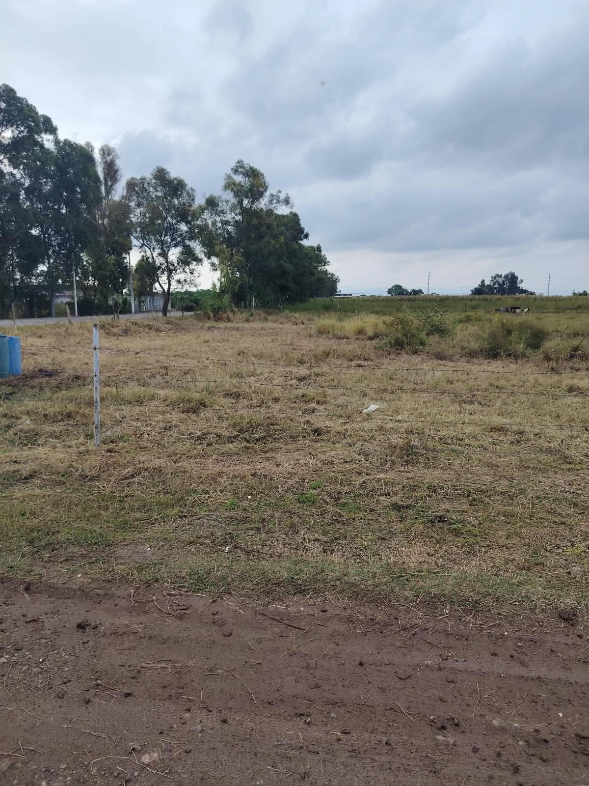 Terreno en Venta en SANTA CRUZ DE LA SOLEDAD, Chapala - foto 8 de 19
