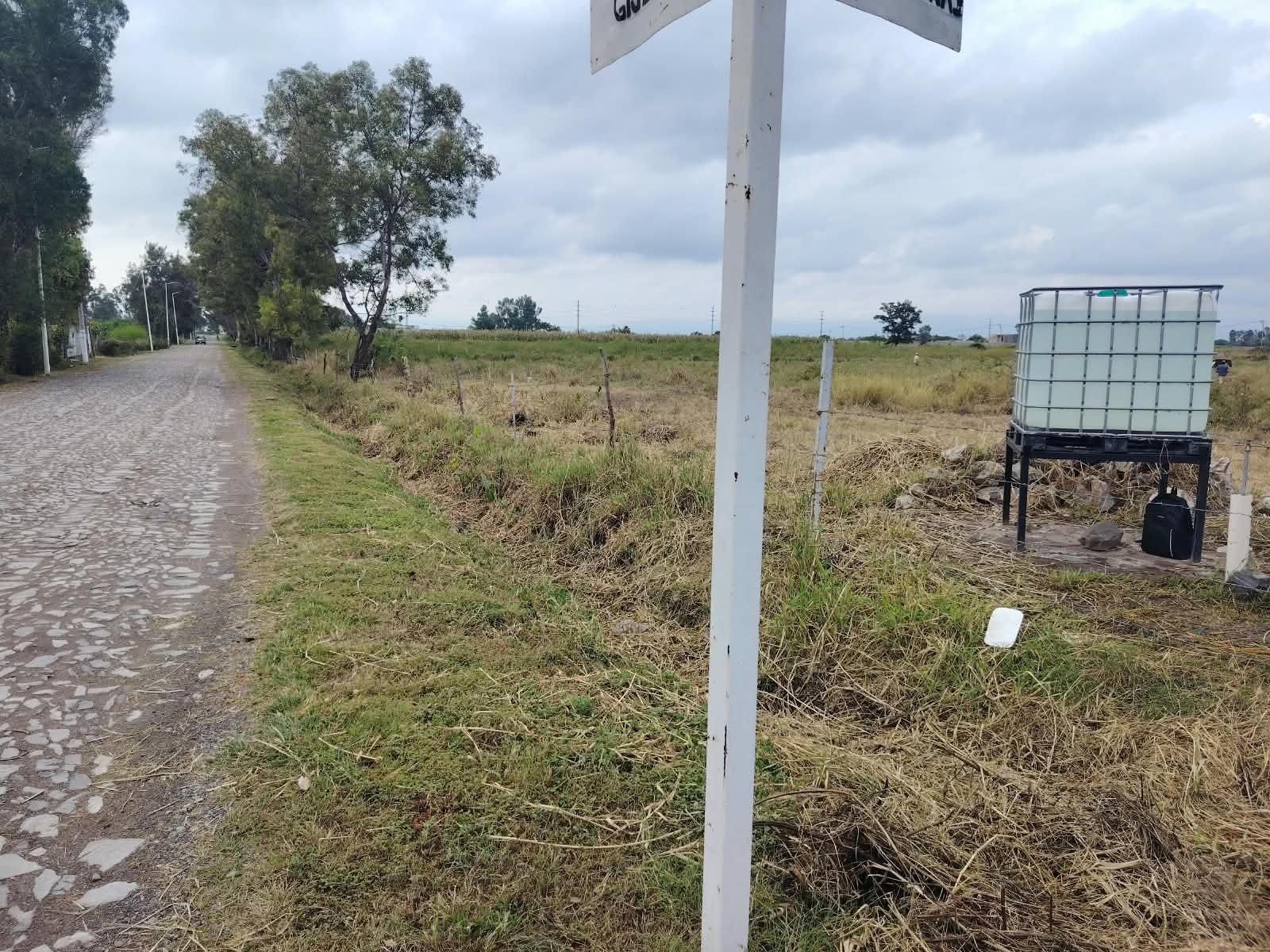 Terreno en Venta en SANTA CRUZ DE LA SOLEDAD, Chapala - foto 10 de 19