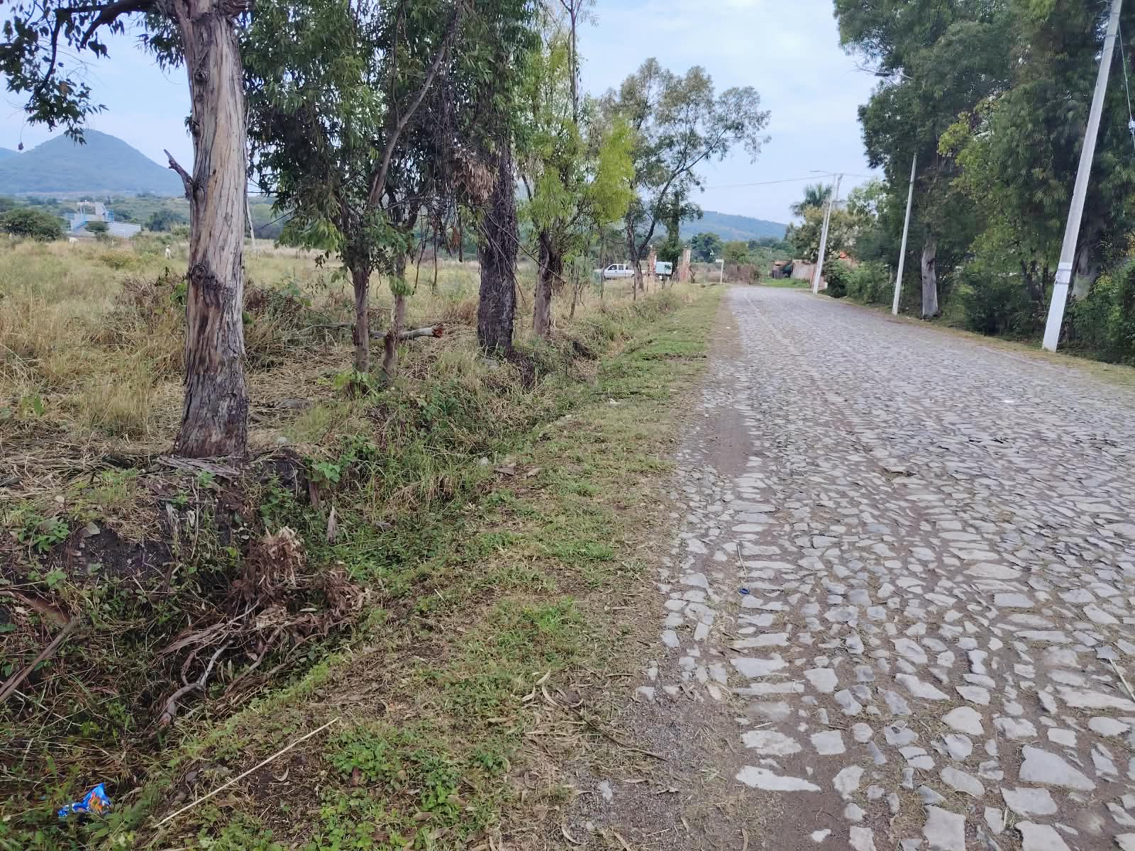 Terreno en Venta en SANTA CRUZ DE LA SOLEDAD, Chapala - foto 7 de 19