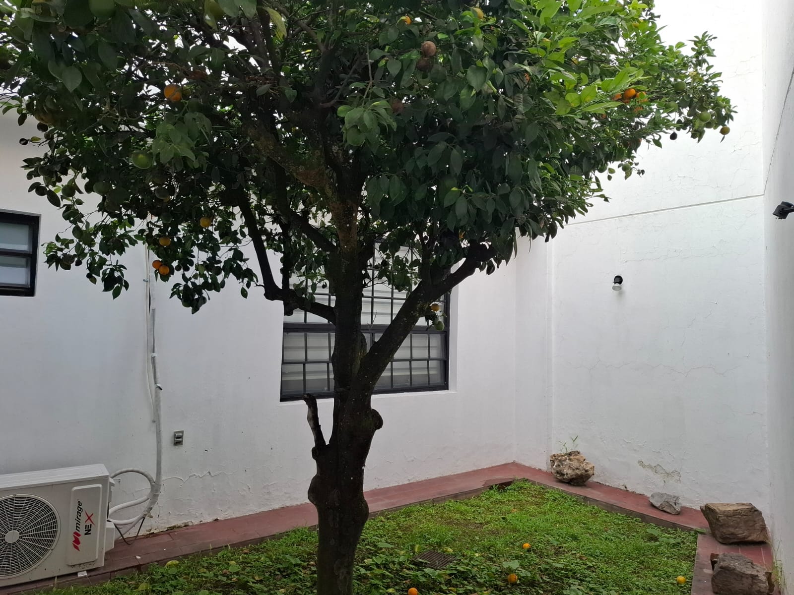 Casa en Renta  en CHAPALITA SUR, Zapopan - foto 22 de 22