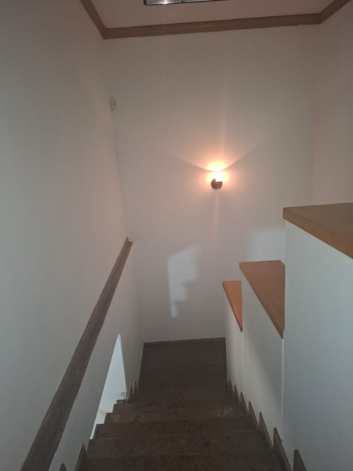 Casa en Renta  en CHAPALITA SUR, Zapopan - foto 17 de 22